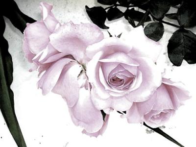 LAS ROSAS